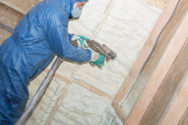 Best Soundproof Insulation  in Shullsburg, WI